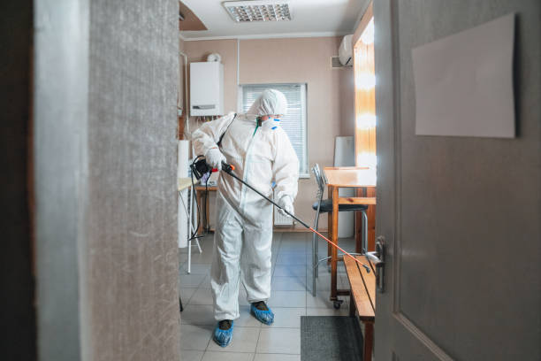 Reliable East Lansing, MI Mold Removal Solutions