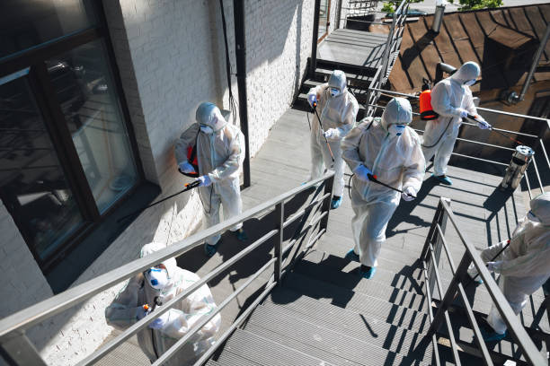 Best Attic Mold Removal  in East Lansing, MI