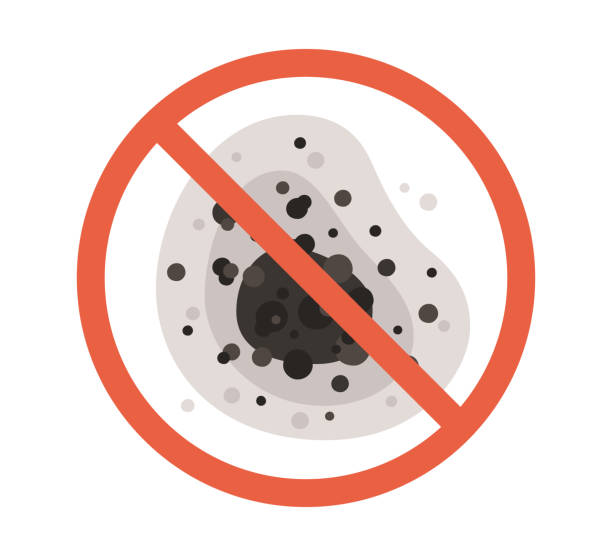 Best Mold Documentation for Insurance Claims  in East Lansing, MI