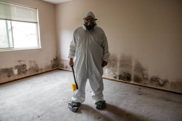 Best Mold Remediation for Healthcare Facilities  in East Lansing, MI